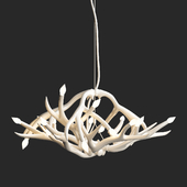 Superordinate Antlers chandelier 12 antlers white von Roll & Hill