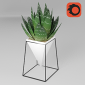Minimal Plant - Corona Renderer