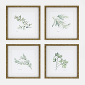 'Herbs' 4 Piece Framed Graphic Art Print Set by Lark Manor