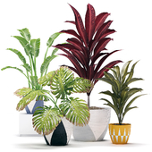 Декоративный набор из растений