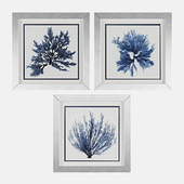 Coastal Seaweed 3 Piece Framed Painting Print Set by Propac Images