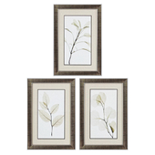 Sage Salal Eucalypt 3 Piece Framed Graphic Art Set by Propac Images
