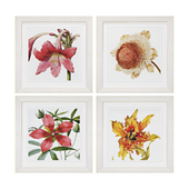 Vintage Botanical by Zhee Singer Framed Painting Print set 5