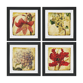 Vintage Botanical by Zhee Singer Framed Painting Print set 6