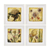 Vintage Botanical by Zhee Singer Framed Painting Print set 10