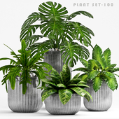 PLANT SET -100