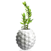 Flower pot with plant