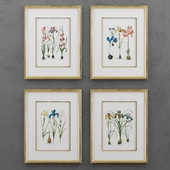A set of paintings with irises