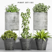 plant set-105