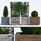 Modern planters