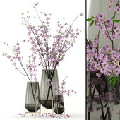 Cherry blossom in Echasse Vases