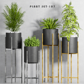 plant set-107