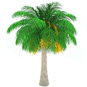 Finik Palm/ Финиковая пальма
