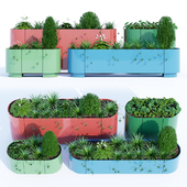 Pop planter