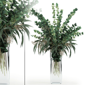 Eucalyptus in tall vase