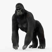 Figurine gorilla