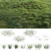 Grass-plot