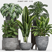 plant set-112