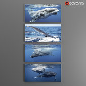 Набор постеров на морскую тему/Posters_SET_Cetacean