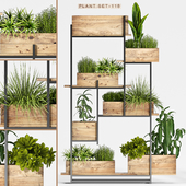 Plant set-118