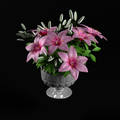 pink lilium flower