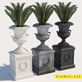 plants 223