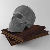 Skull + book
