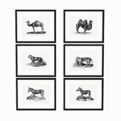 Eichholtz Prints Historical Animals set of 6