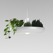 Inodesign Plant 40.404