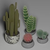 Cactus Set 1