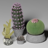 Cactus set 2