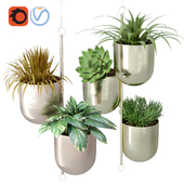 Metal Hanging Indoor Plant Pots