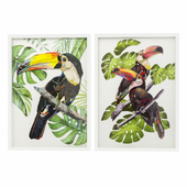 Pictures in frame Art Paradise Bird from Kare design