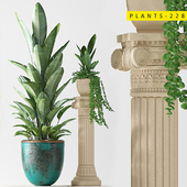 Plants 228