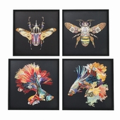 Pictures in frame Art Betta Fish Colore from Kare design