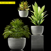 plants 230