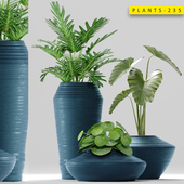 Plants 235