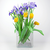 Irises and tulips.