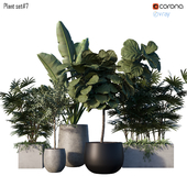 Plant set # 7