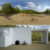 HDRi in the forest