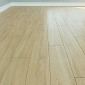 Laminate. Parquet. Natural wood. 146