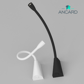 Ancard wall sconce