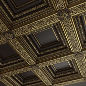 Caisson ceiling Rodin