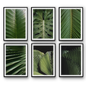 Tropical Leaves| set 31