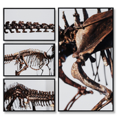 ORIENTO  Skeleton |set 32