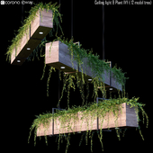 Ceiling light & Plant IVY (13 model tree)