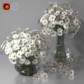 Daisy/Chamomile Bouquet Vases