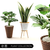 plant collection_set 02