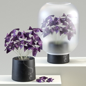 Nebl Plant 2 with frosted glass | Кислица (Oxalis)