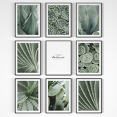 Set of posters "Succulents"
